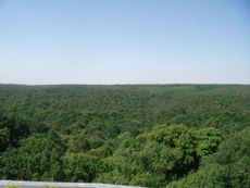 Burg_Rabenstein_Fläming_21.jpg